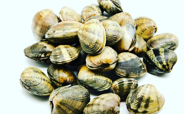 Петушок вонголе. Устрицы вонголе. Паста с моллюсками вонголе. Паста с вонголе песто. Спагетти вонголе.