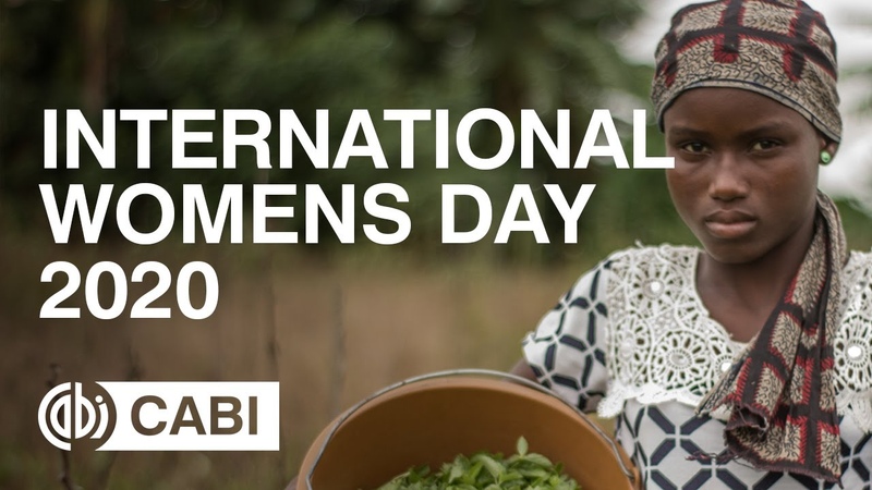 International Womens Day 2020: CABIs work in