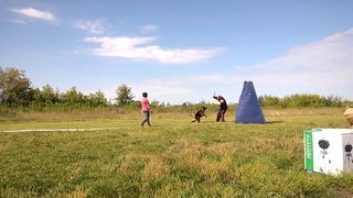 Курган Леге Артис Знак Качества - Лучший на Проверке !