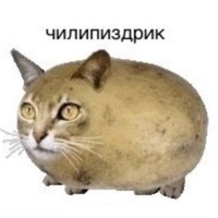Кирилл Рагулин