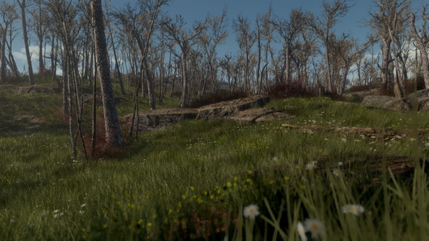 моды на деревья fallout 4. растительность в играх. Fallout 4 трава. мод grasslands fallout 4. Fallout 4 grass.