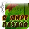 В мире пазлов
