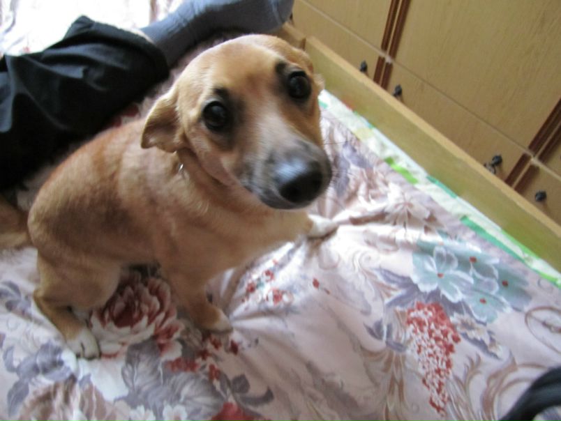 №2, Дмитрий Гаврилович, 37 лет, Минск №2, Дмитрий Гаврилович, 37 лет, Минск