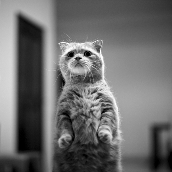 Анна Штольфф фото со стены #1