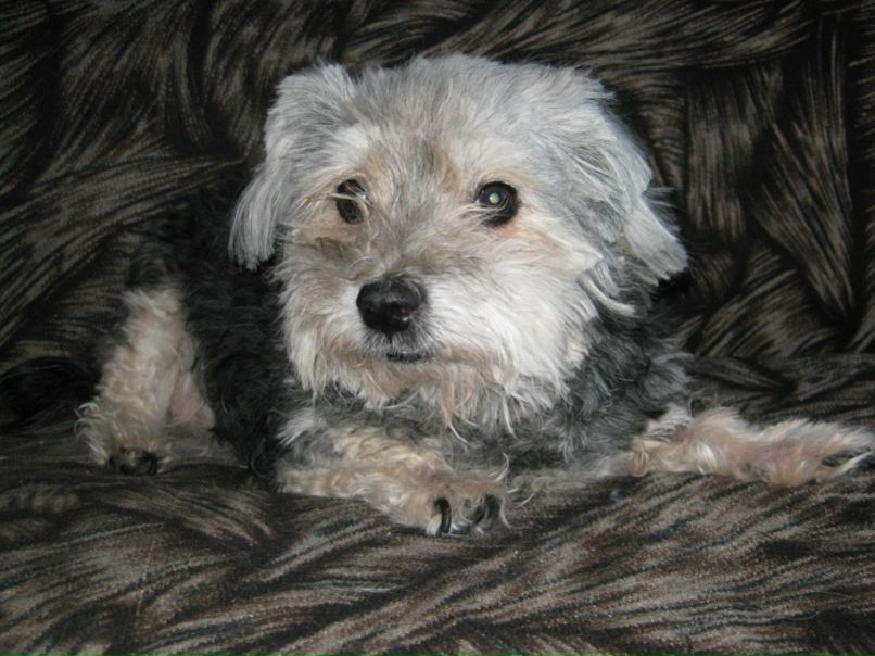 №24, Вера Автух, 15.12 №24, Вера Автух, 15.12