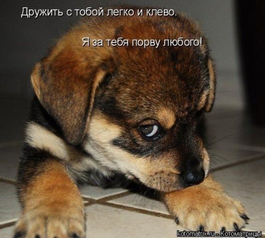 Яна Никонова фото профиля #5