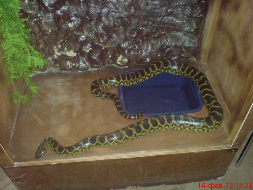 Ирина Соболева Алексеевна | Хабаровск