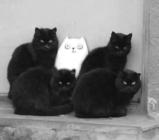 №28, Ирина Жукова, 45 лет, Петропавловск №28, Ирина Жукова, 45 лет, Петропавловск