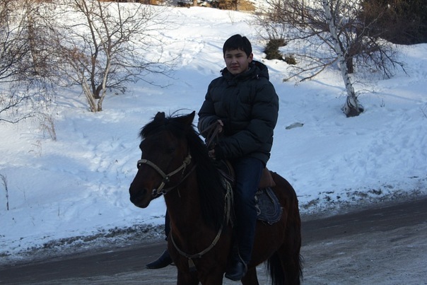 №23, Нурлан Аман, 30 лет, Алматы №23, Нурлан Аман, 30 лет, Алматы