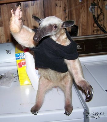 №12, Сергей Анатольевич №12, Сергей Анатольевич