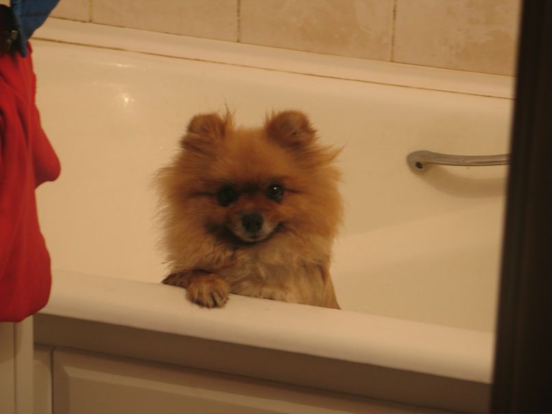 Денис Махровский | Тула