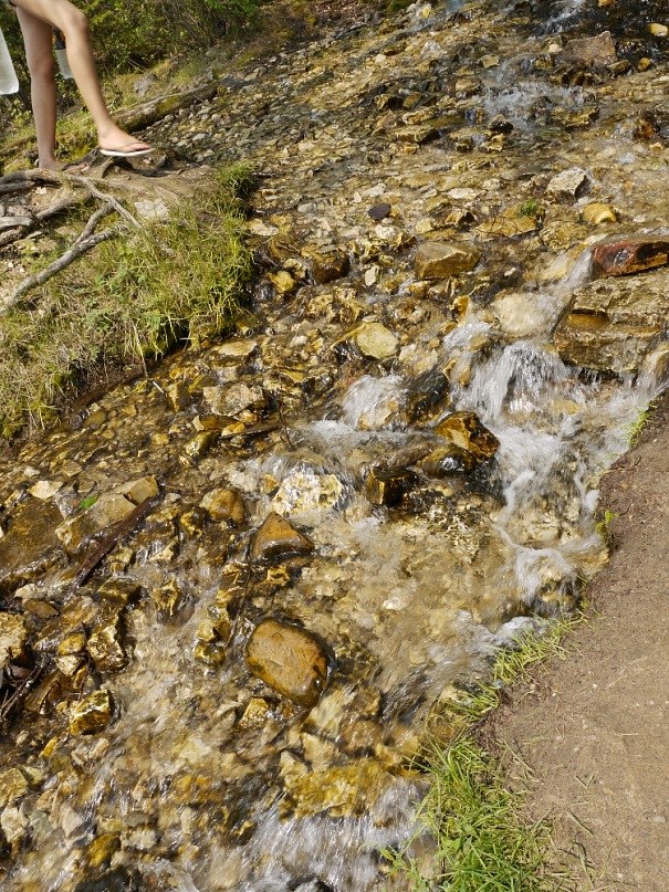 Милена Атакова | Якутск