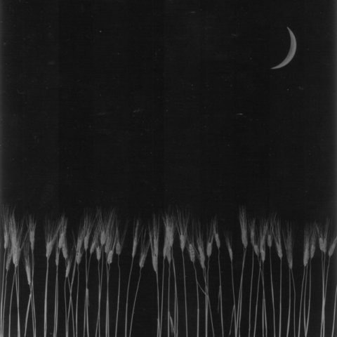 Ольга Фетт | Северск