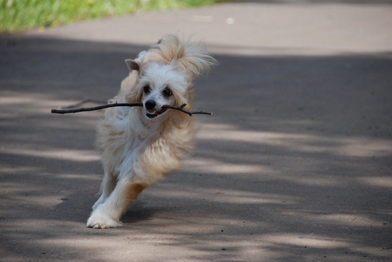 Ксения Николаева | Киров