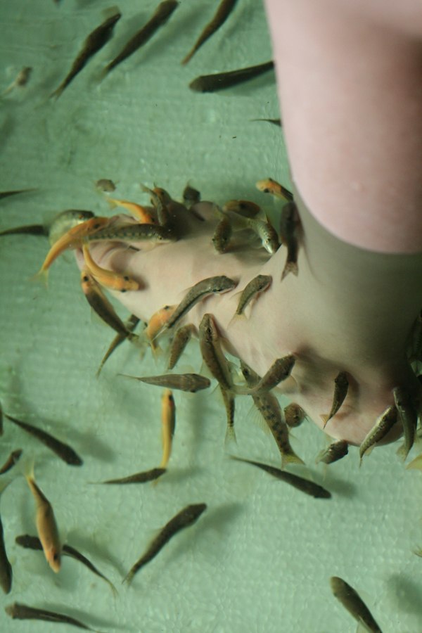 Рената Санникова | Ижевск