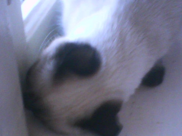 Мария Ткачёва | Казань