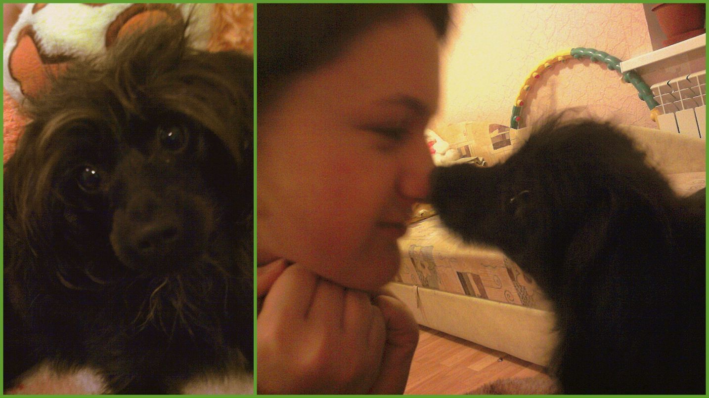 Дарья Мищенко | Днепр (Днепропетровск)