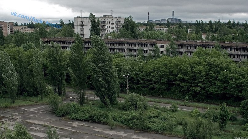 Юрий Гамарис | Москва