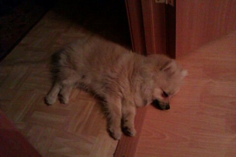 Алексей Мальцев | Озерск