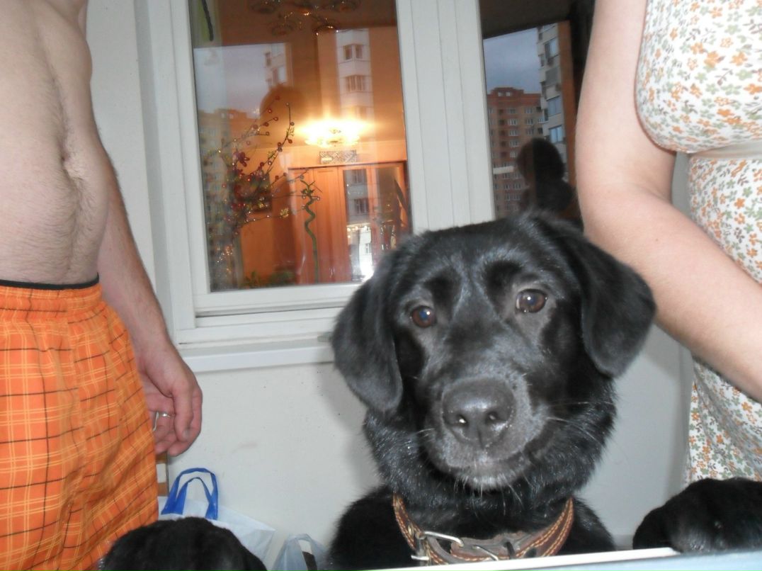 Света Мещерякова | Москва