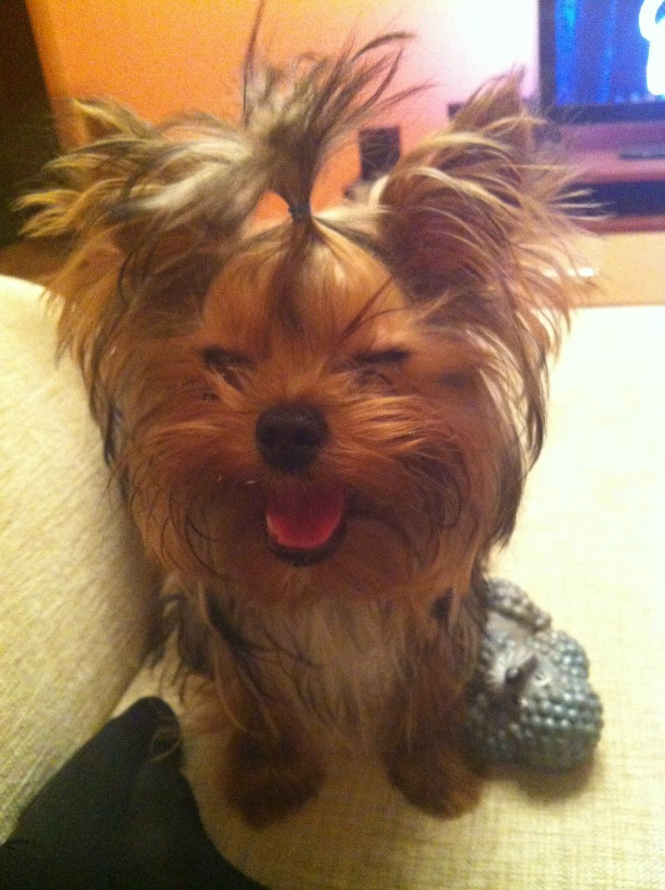 Марина Непряхина | Новосибирск