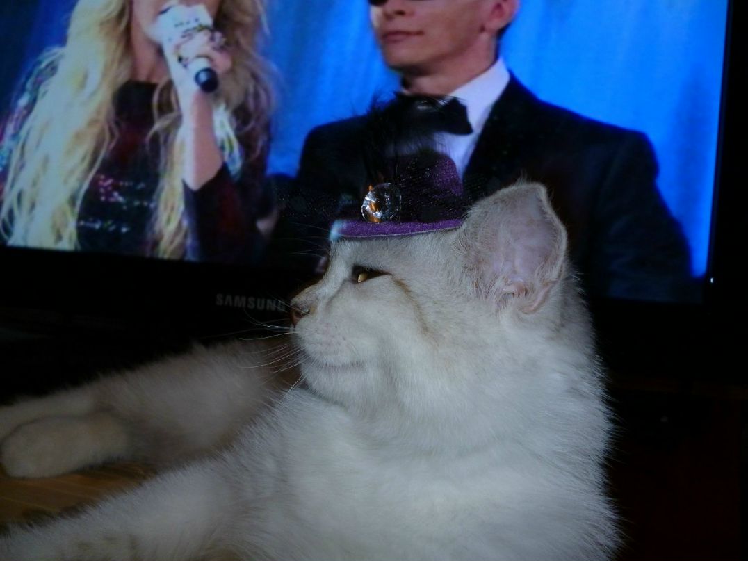 Катя Кажанова | Оренбург