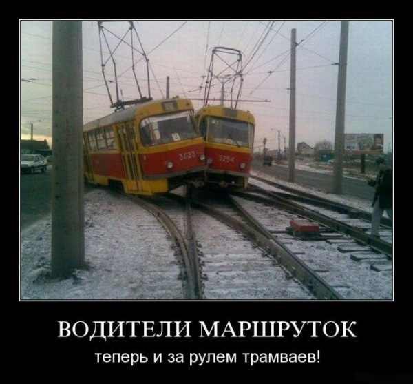 Анна Шустак | 