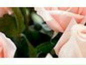 Ирина Курленко | Одесса