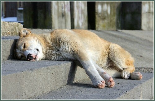 Сергей Иванов | Краснодар