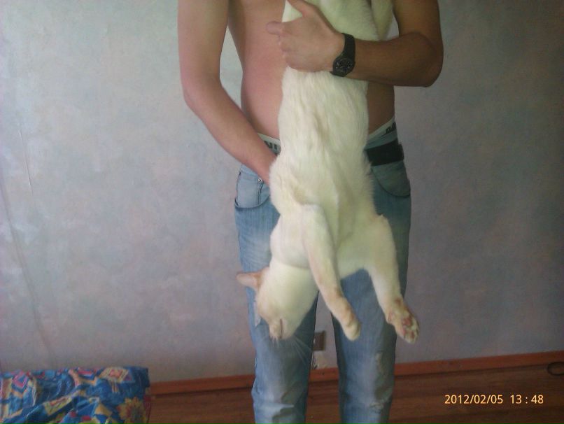 Добрый Гном | Санкт-Петербург