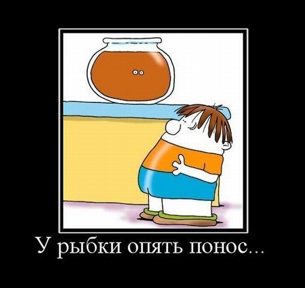 Евгений Шкутов одуванчик пля | 