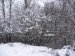 Леся Радченко фотография #33 (источник - https://vk.com/id53708094)