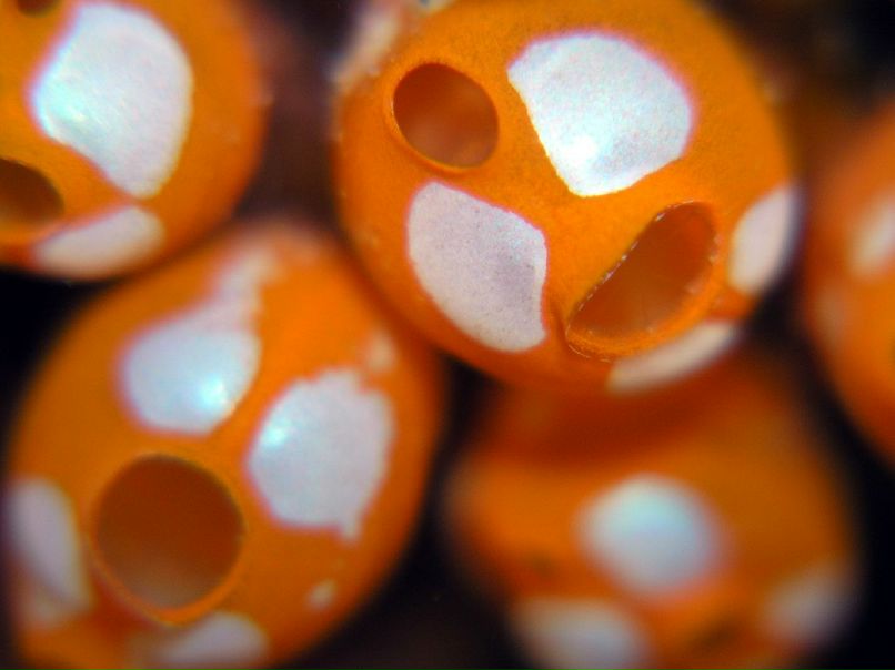 Анюта Савельева 