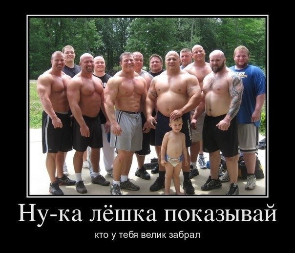 Алексей Кошовый | Бровары