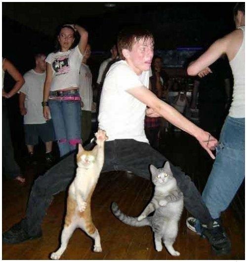 №43, Владимир Витовщик, Белицкое №43, Владимир Витовщик, Белицкое