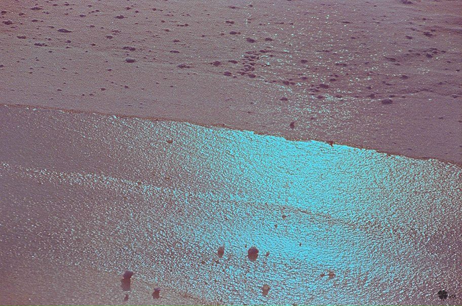 Алексей Осипов | Минск