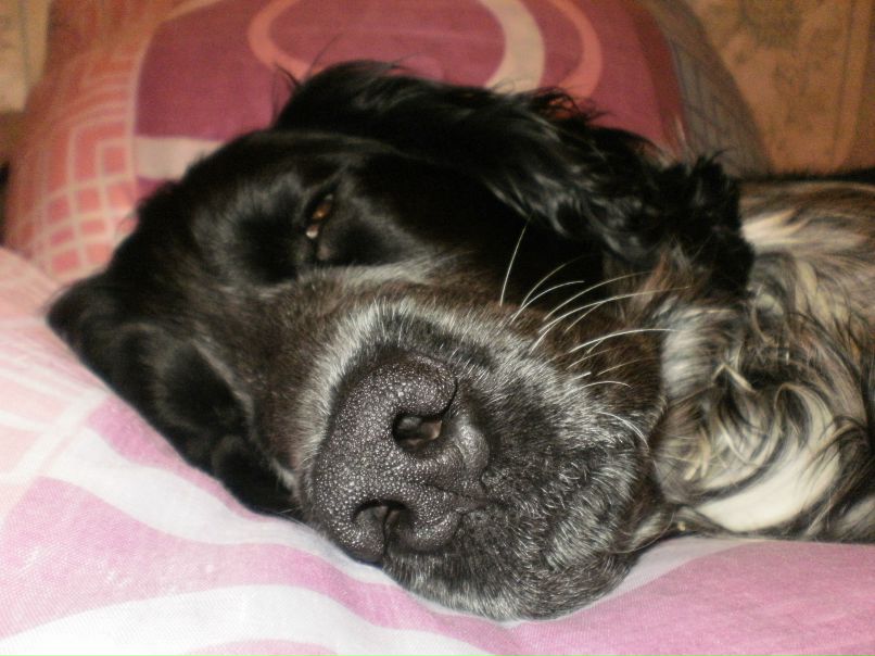 Сергей Митюшин | Санкт-Петербург