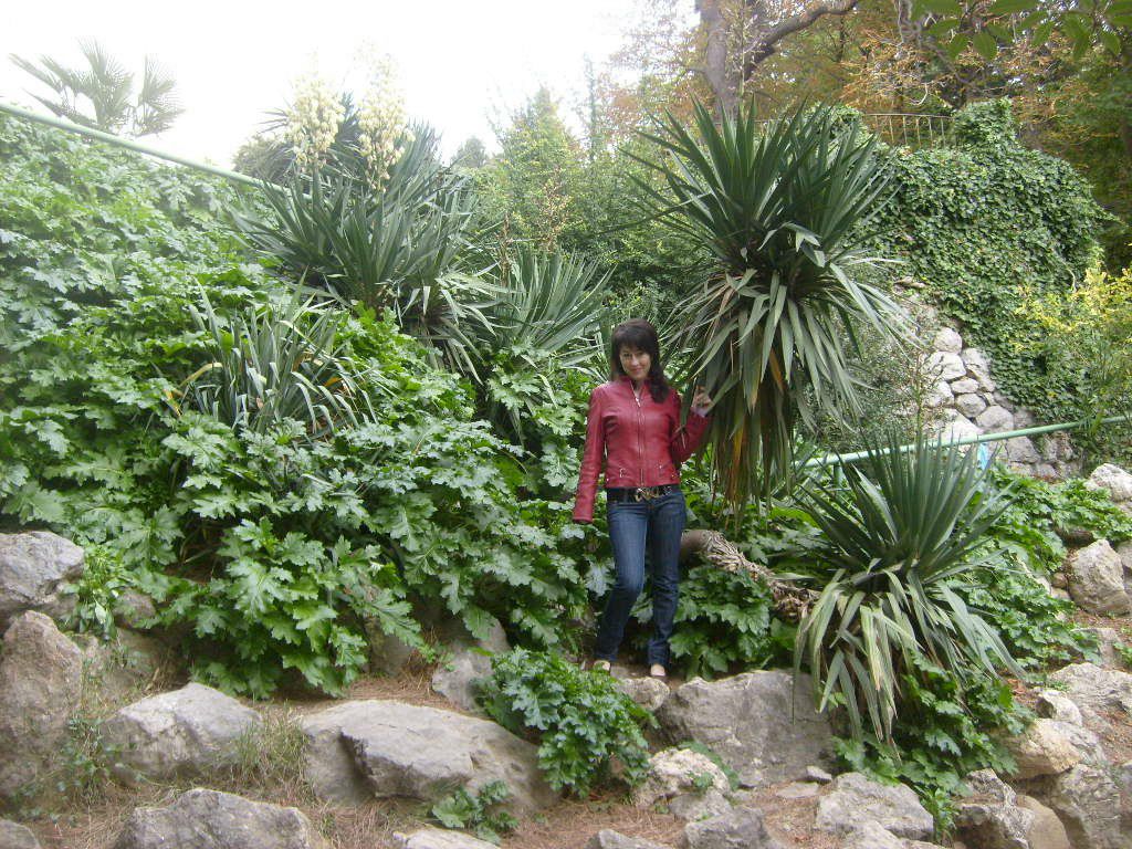 Эмине Мустафаева | Армянск