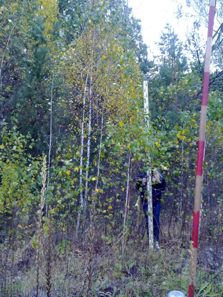 Виталик Говди | Киев