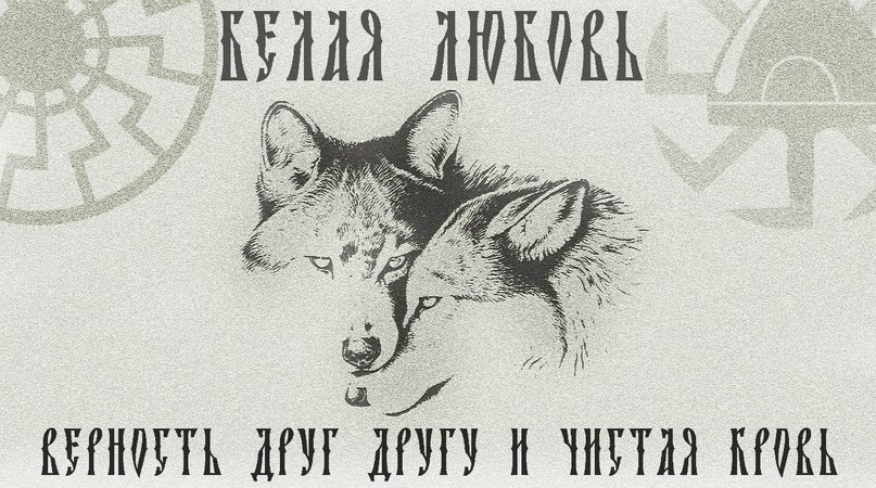 Александр Маласай | Днепр (Днепропетровск)