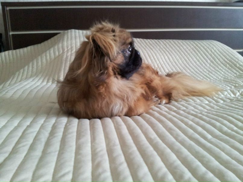 Виктория Назарова | Москва