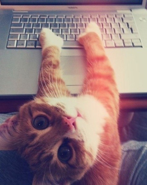 Оля Морозова | Омск