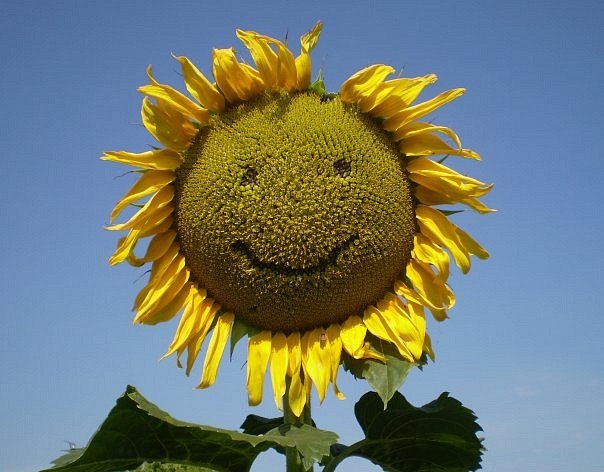 Сергей Когай | Новороссийск