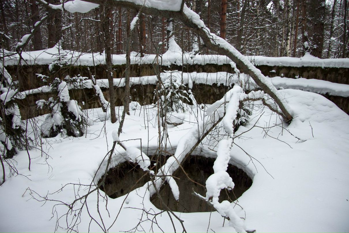 Дмитрий Паппель | Chennai