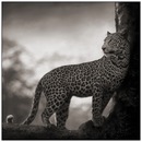 Фотография Амандиной Яны