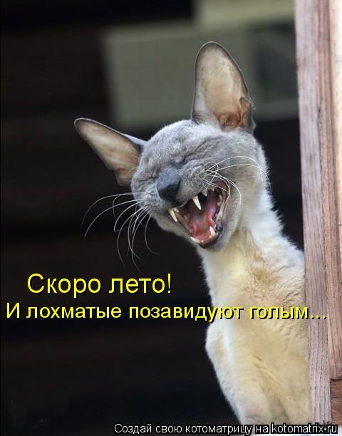 Денис Каракозов Otkin | Советский