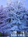 Фотография Илюха Фоминов