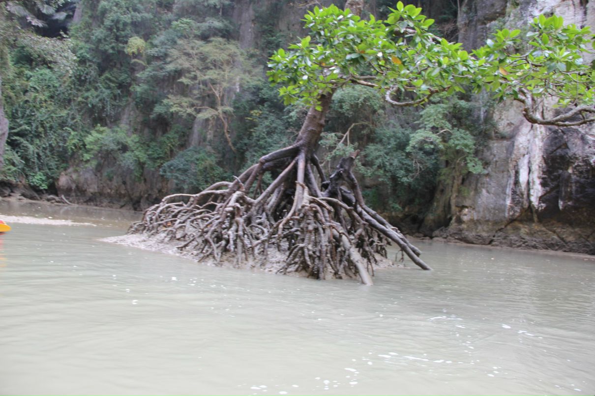 Виктор Викторов | 