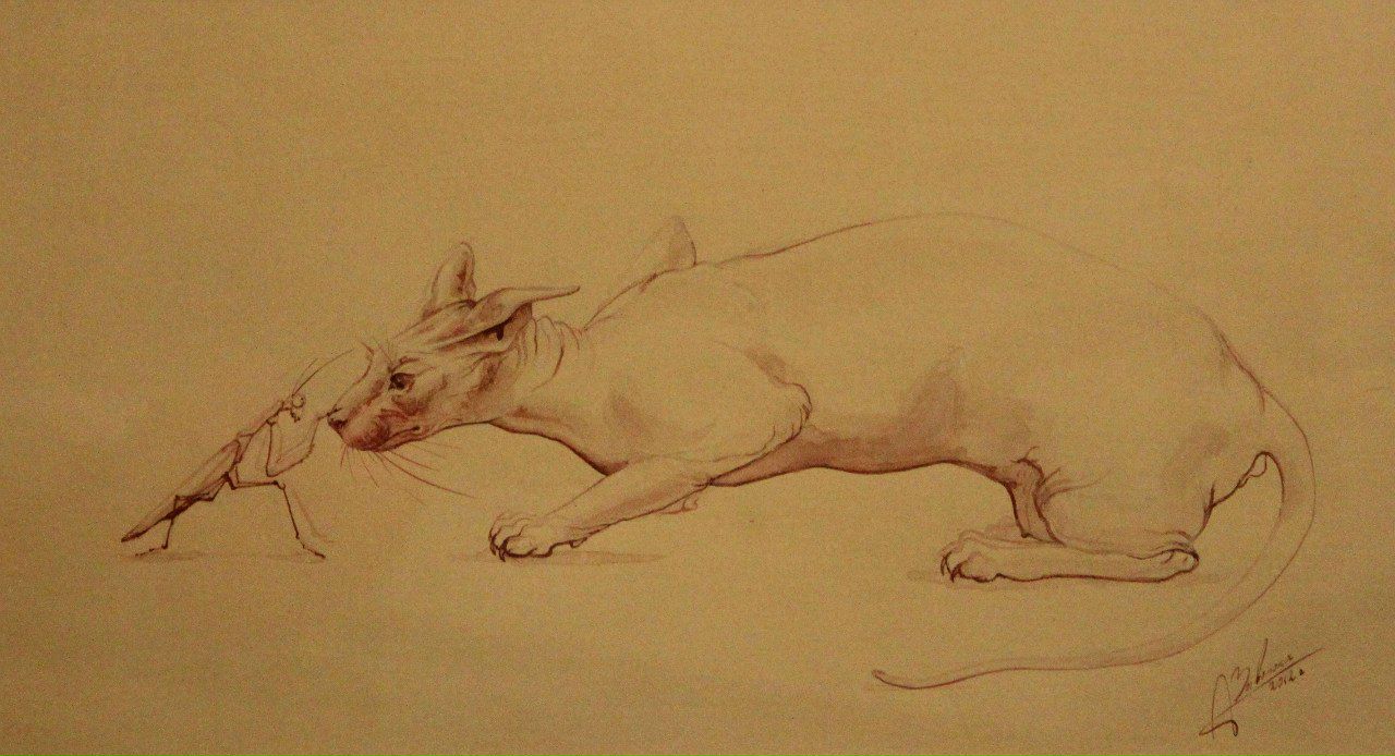 Александра Несветова | Санкт-Петербург