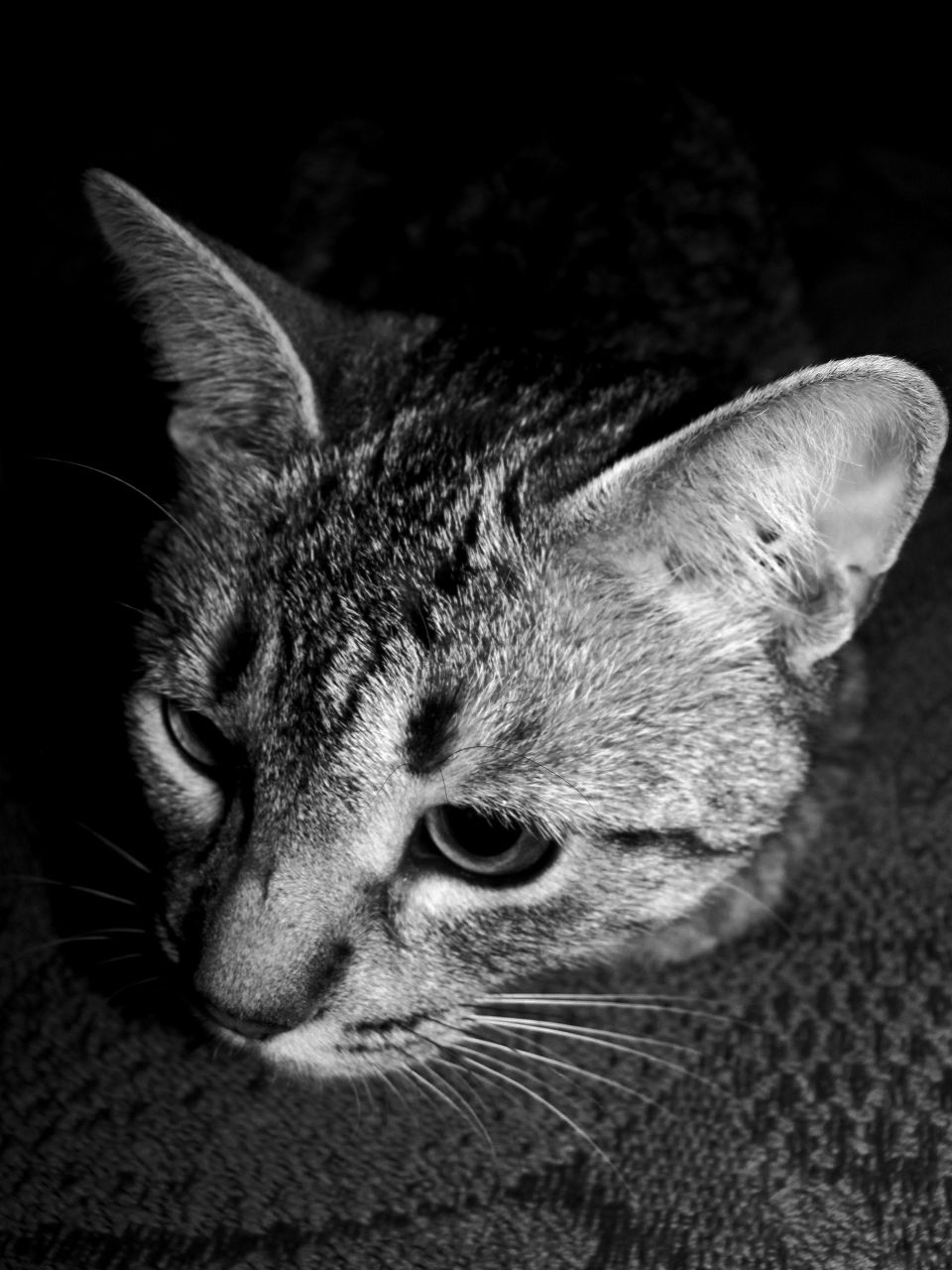 Юлія Степанівна | Ровное